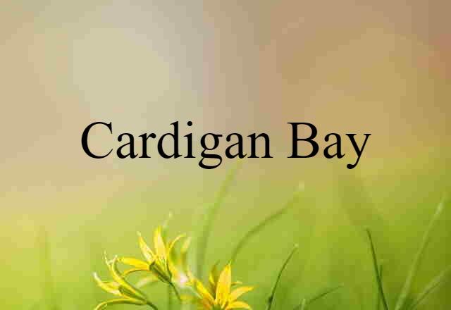 Cardigan Bay