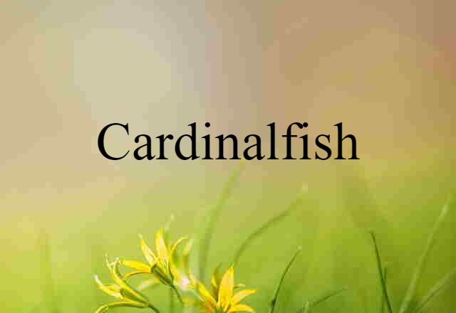 Cardinalfish (noun) Definition, Meaning & Examples