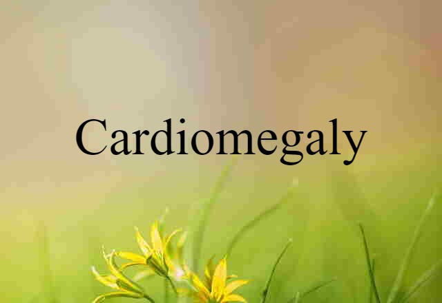 cardiomegaly