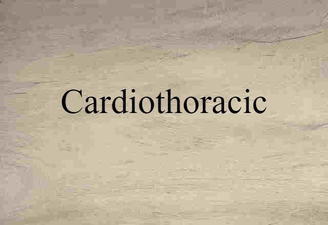 Cardiothoracic (noun) Definition, Meaning & Examples