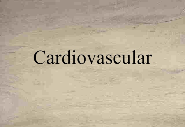 Cardiovascular (noun) Definition, Meaning & Examples