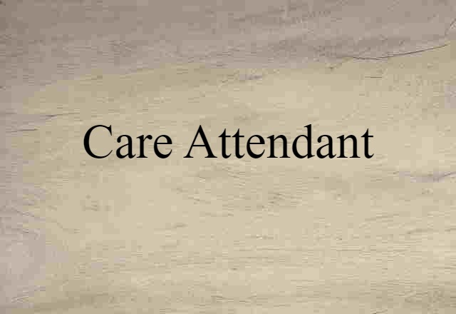 Care Attendant (noun) Definition, Meaning & Examples