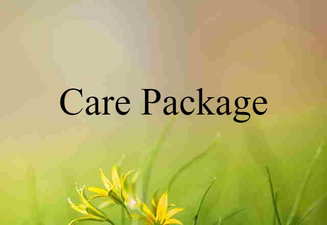 Care Package (noun) Definition, Meaning & Examples