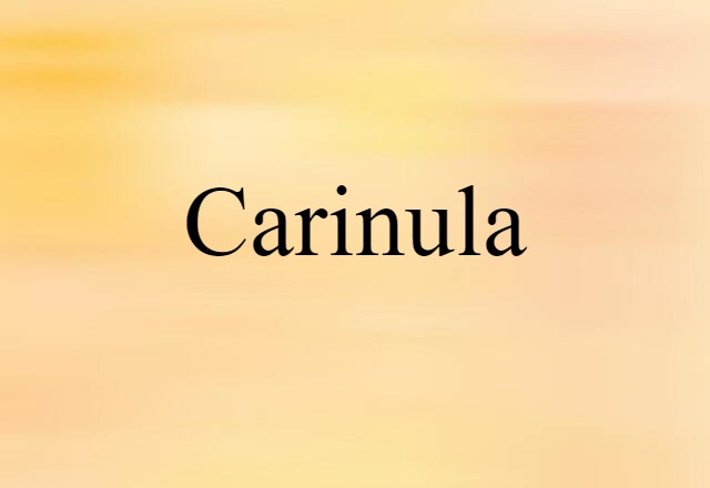 carinula