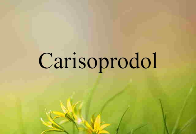 Carisoprodol (noun) Definition, Meaning & Examples