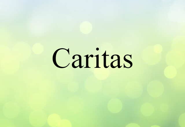 Caritas (noun) Definition, Meaning & Examples