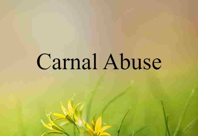 Carnal Abuse (noun) Definition, Meaning & Examples