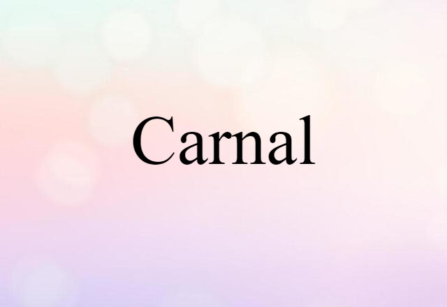 Carnal (noun) Definition, Meaning & Examples