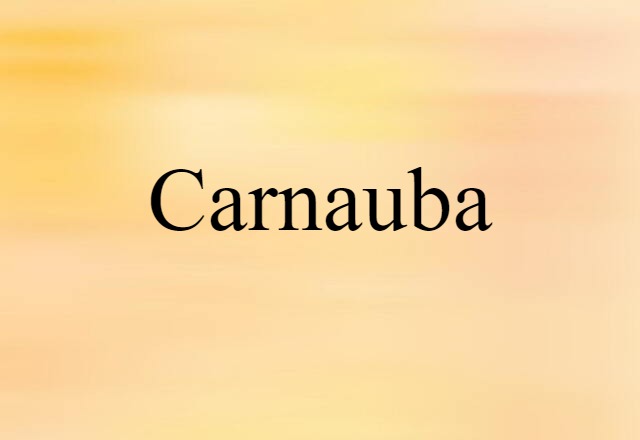 Carnauba (noun) Definition, Meaning & Examples