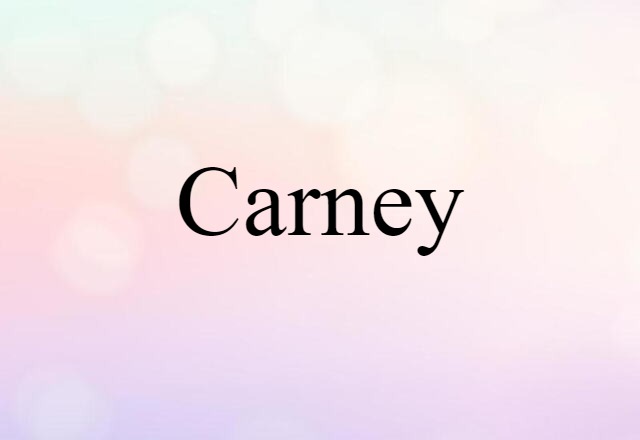 Carney (noun) Definition, Meaning & Examples