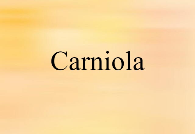 Carniola (noun) Definition, Meaning & Examples