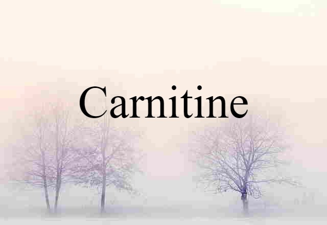 Carnitine (noun) Definition, Meaning & Examples