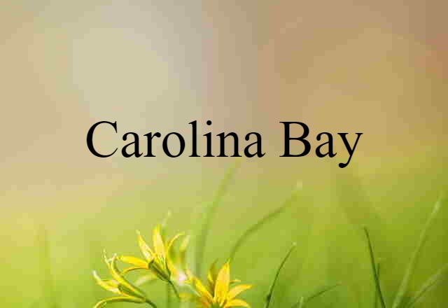 Carolina bay