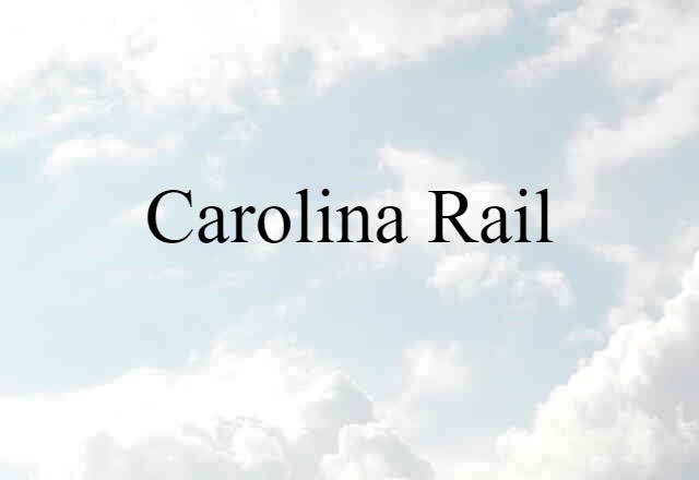 Carolina rail