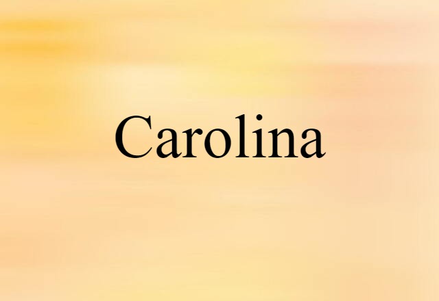 Carolina (noun) Definition, Meaning & Examples