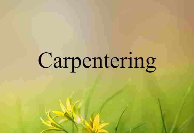 Carpentering (noun) Definition, Meaning & Examples