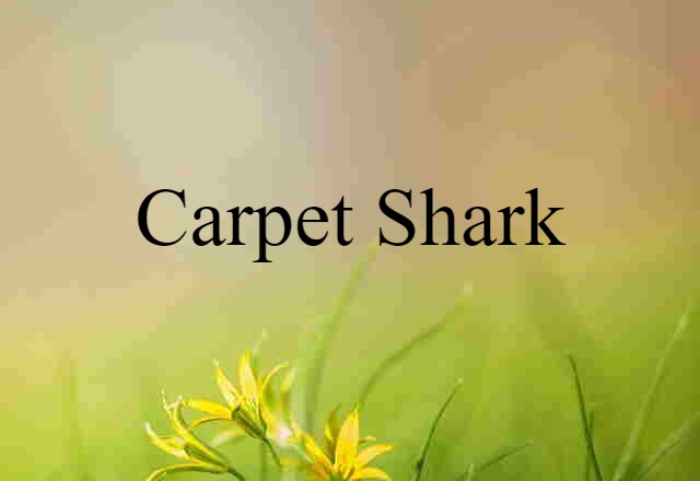 Carpet Shark (noun) Definition, Meaning & Examples