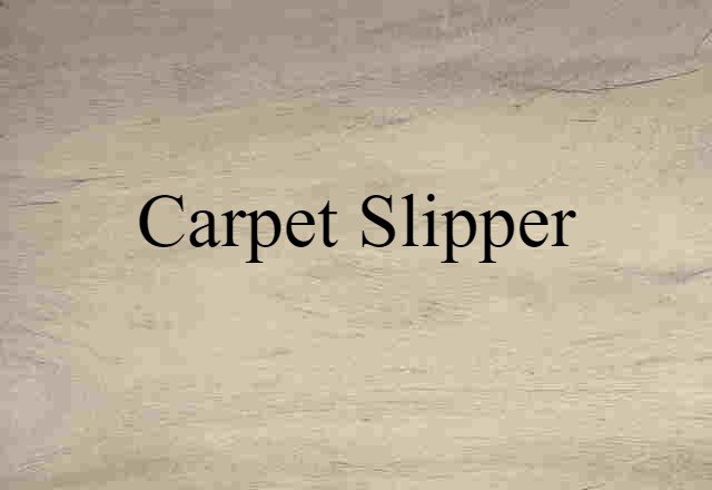 carpet slipper