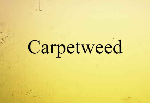 carpetweed