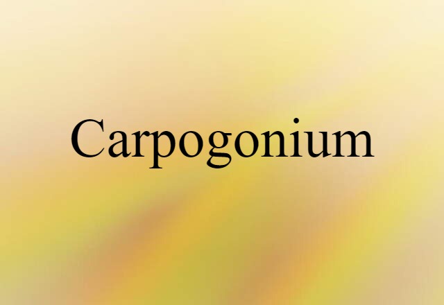 carpogonium