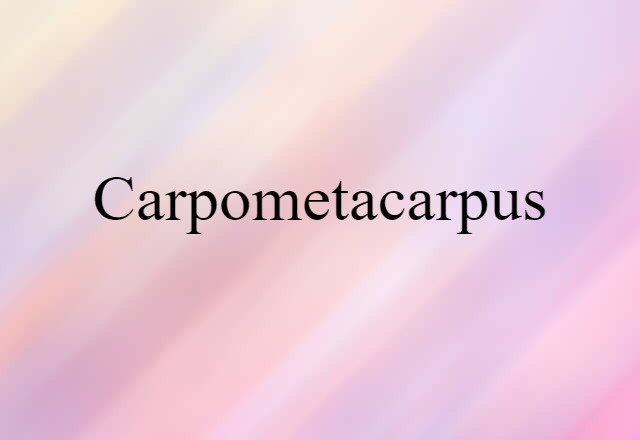 carpometacarpus