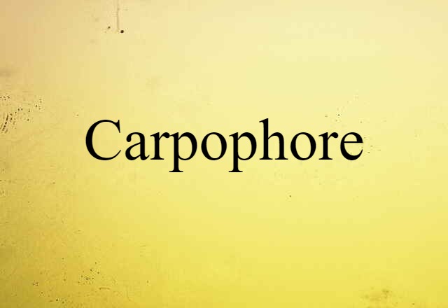 Carpophore (noun) Definition, Meaning & Examples