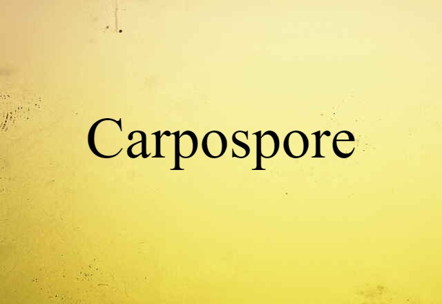 carpospore