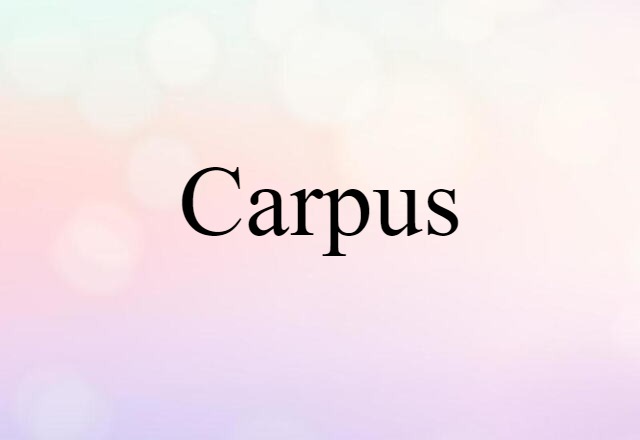 Carpus (noun) Definition, Meaning & Examples