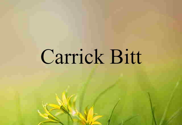 carrick bitt