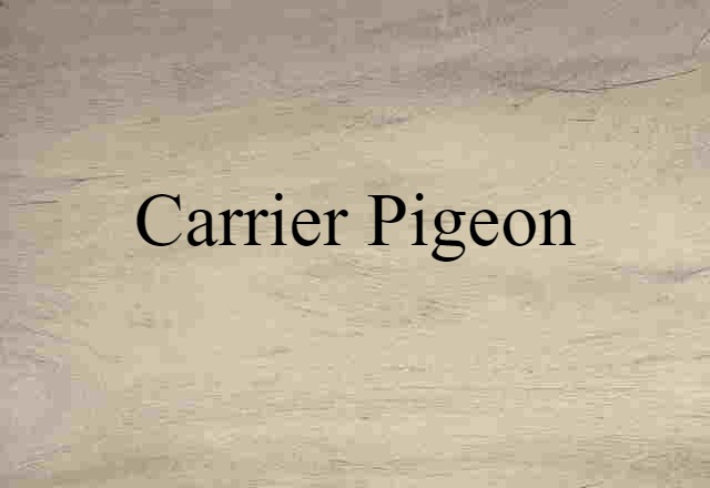 carrier pigeon