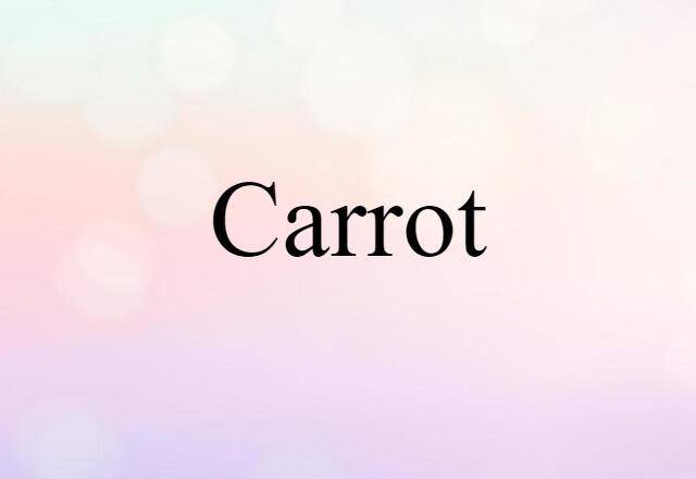 Carrot (noun) Definition, Meaning & Examples