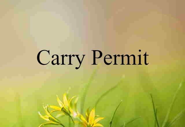 Carry Permit (noun) Definition, Meaning & Examples