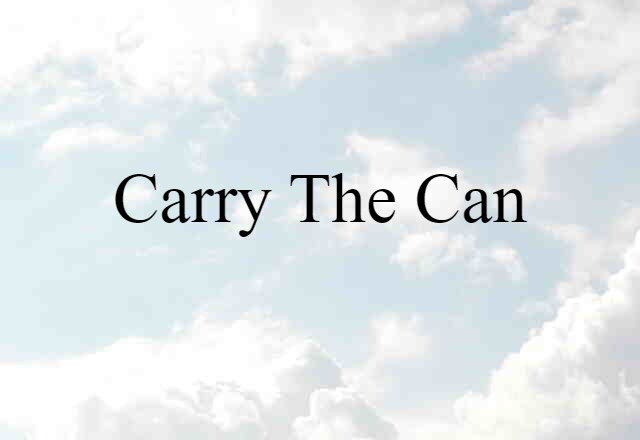 Carry The Can (noun) Definition, Meaning & Examples