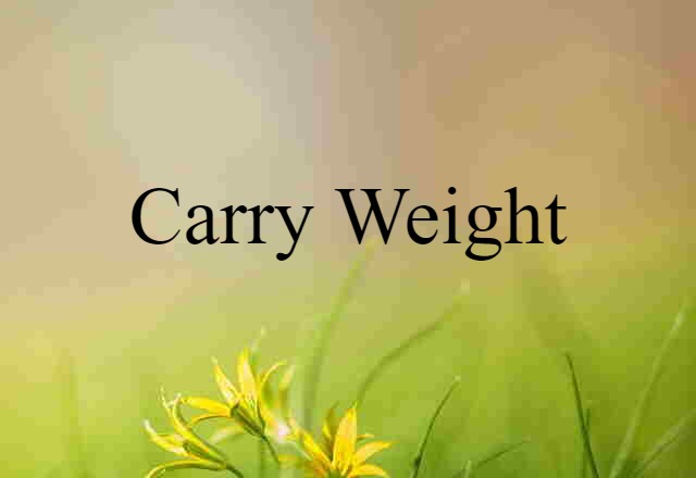 Carry Weight (noun) Definition, Meaning & Examples