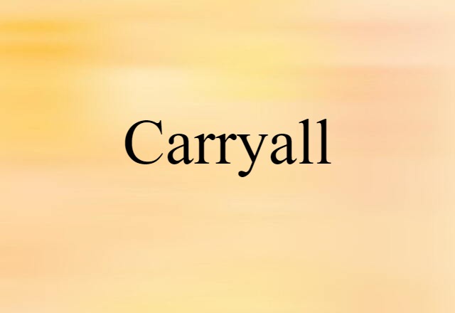 Carryall (noun) Definition, Meaning & Examples