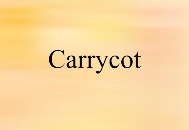 Carrycot (noun) Definition, Meaning & Examples