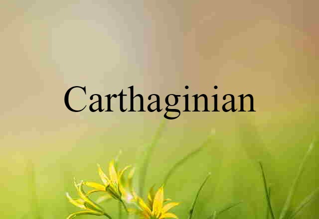 Carthaginian (noun) Definition, Meaning & Examples