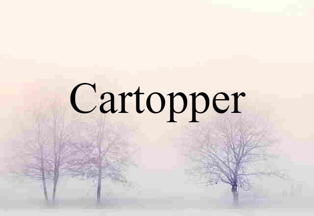 Cartopper (noun) Definition, Meaning & Examples