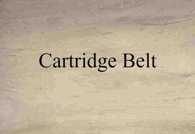 Cartridge Belt (noun) Definition, Meaning & Examples