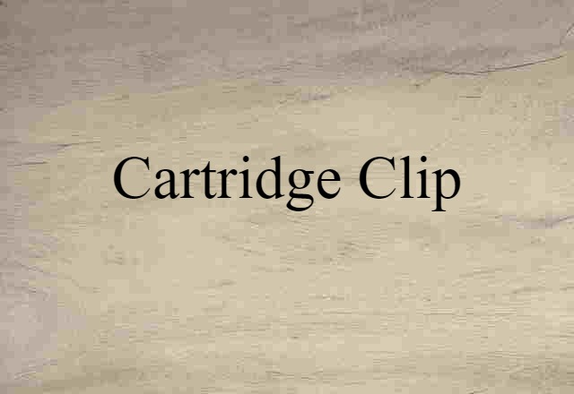 Cartridge Clip (noun) Definition, Meaning & Examples