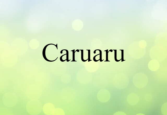 Caruaru (noun) Definition, Meaning & Examples