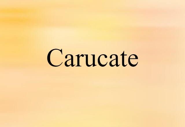 Carucate (noun) Definition, Meaning & Examples