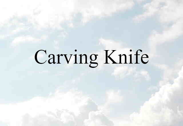 Carving Knife (noun) Definition, Meaning & Examples