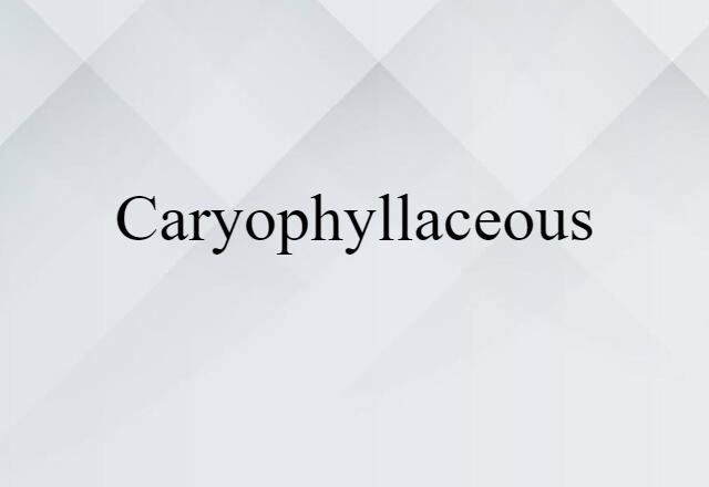 caryophyllaceous