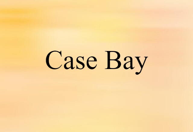 Case Bay (noun) Definition, Meaning & Examples