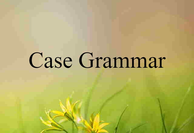 case grammar