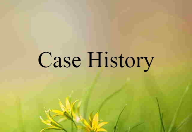 Case History (noun) Definition, Meaning & Examples