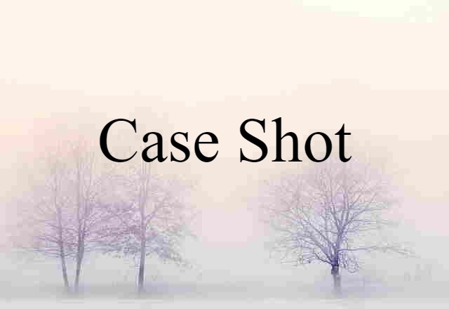 case shot