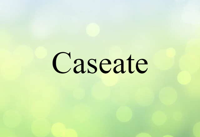 Caseate (noun) Definition, Meaning & Examples