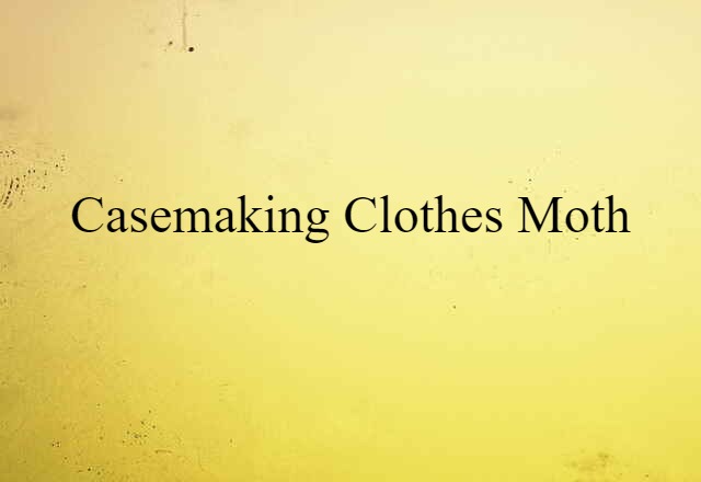 casemaking clothes moth